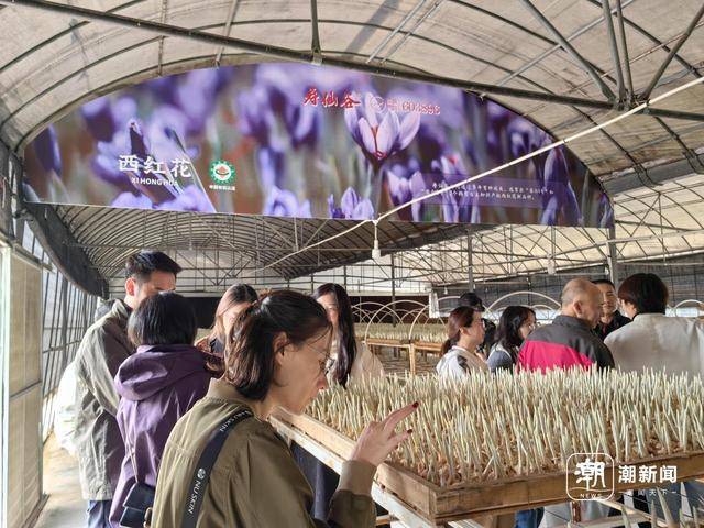 头部入局，政策加码，浙江持续擦亮“生态美妆”金名片