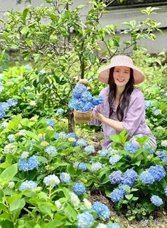 歌星龚琳娜的现状