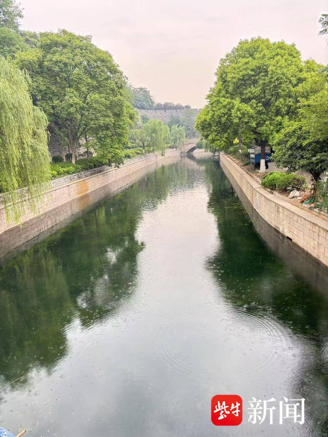 机械+人工双管齐下，守护南京城市“绿腰带”