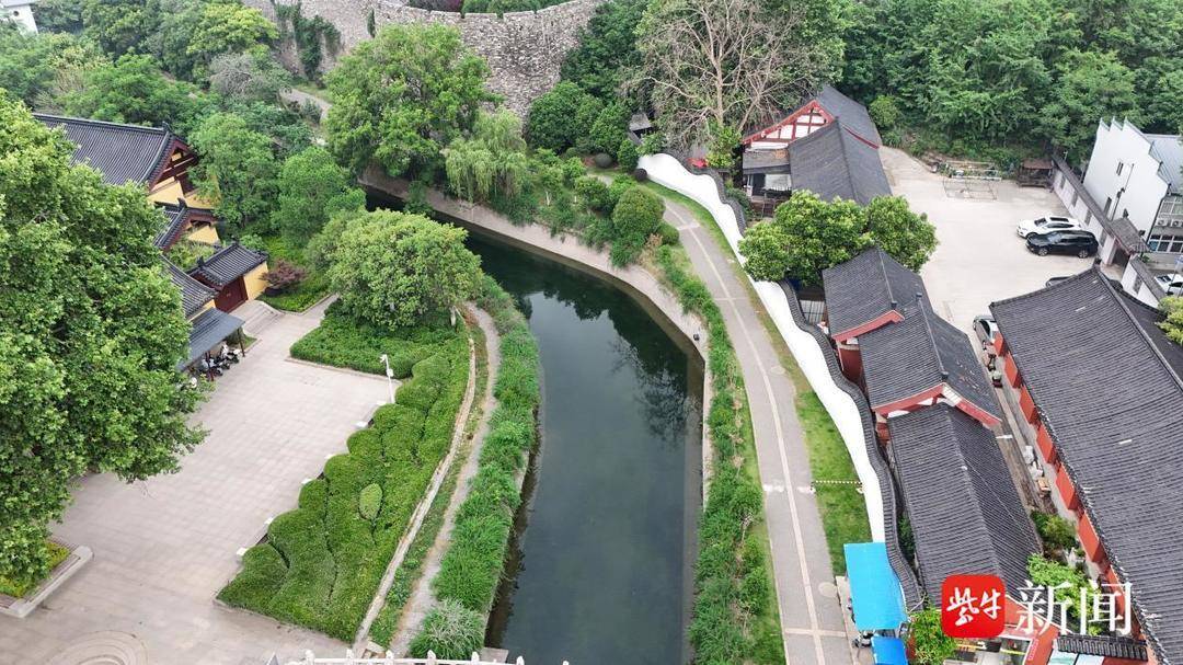 机械+人工双管齐下，守护南京城市“绿腰带”