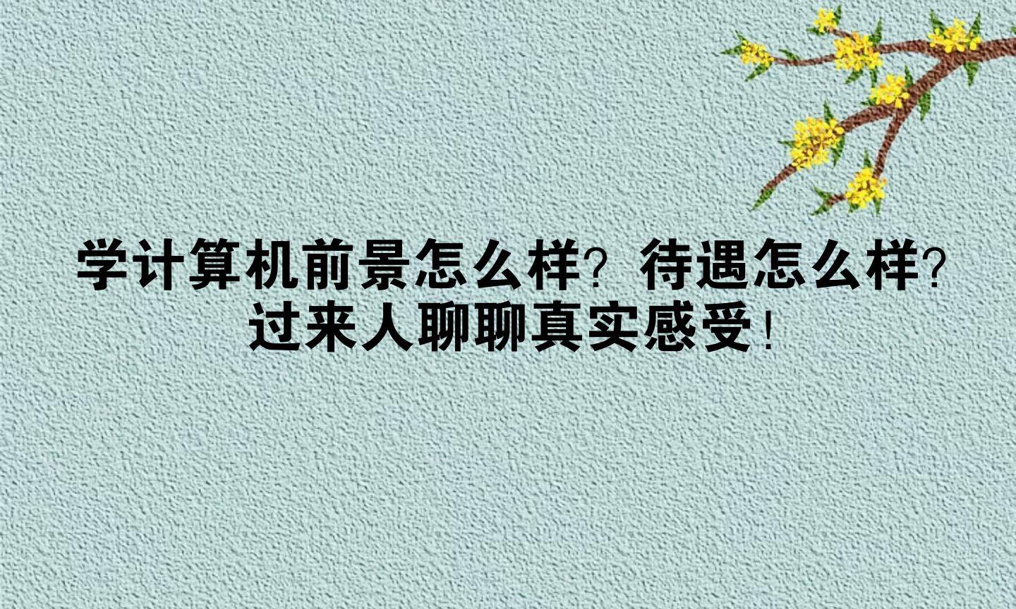 学计算机前景怎么样？待遇怎么样？过来人聊聊真实感受！
