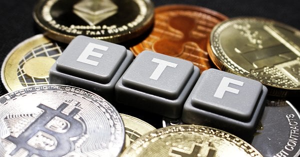 货币型etf(货币etf基金一览表)