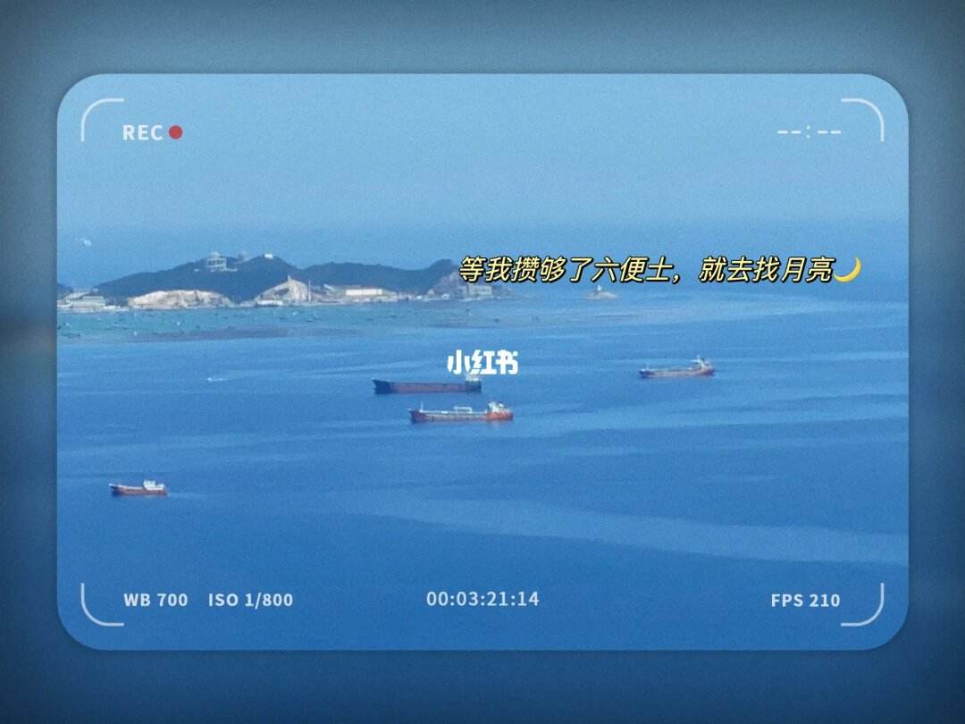 便士软件(便士啥意思)