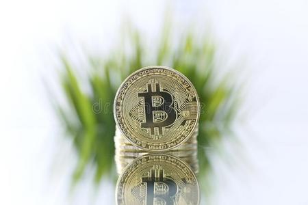 网上货币(网上货币如何赚钱)