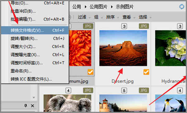 选择软件(随机选择软件)